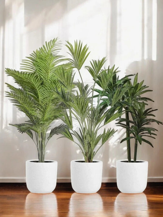 Lush Garden Bundle - 3X Plants | Ceramic Pots | XL Bundle - Freshplants