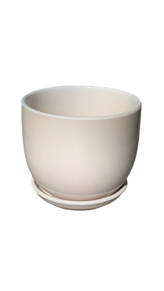 Medium White Gold Ceramic Pot - Freshplants