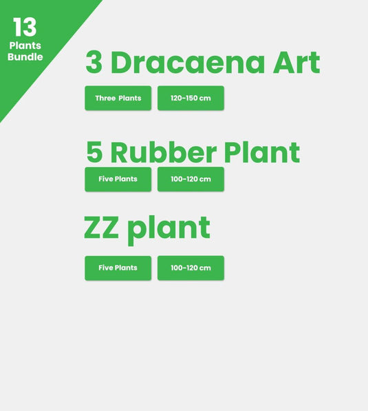 Mix Green Bundle - 13 x Plants - Freshplants