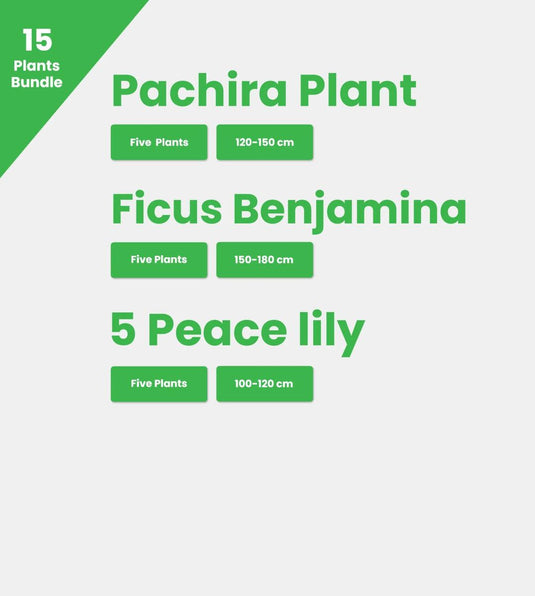 Special Spectrum Bundle x 15 - Freshplants