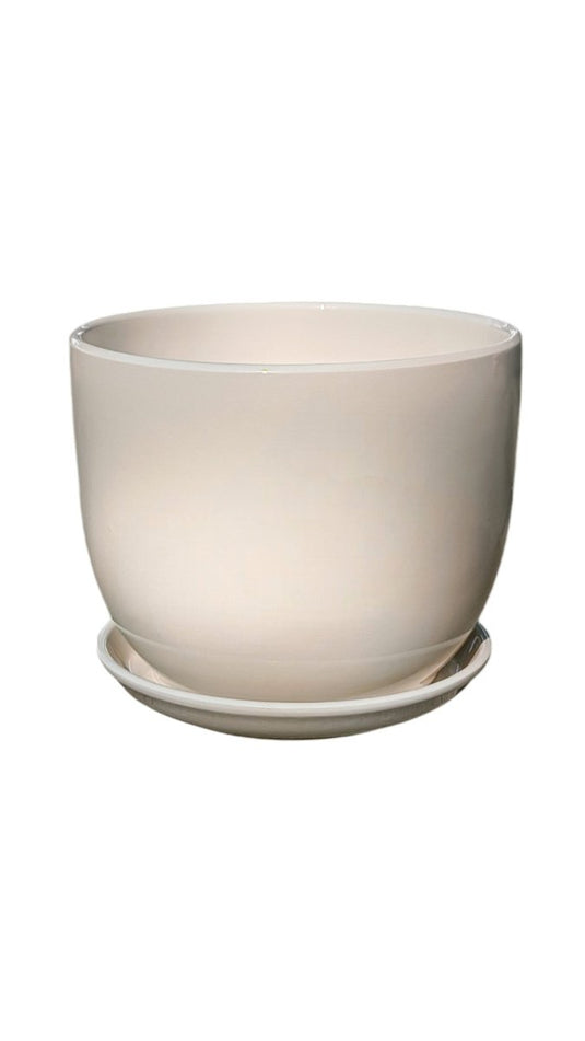 White Plated Ceramic Pot - Freshplants